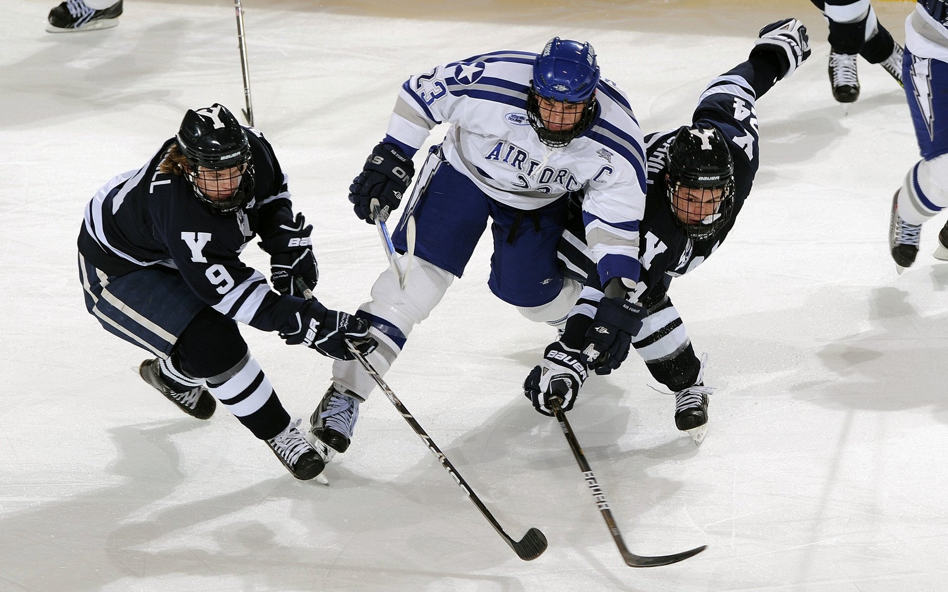 新晋足球教练打造团队,力争联赛佳绩,足球队教练团队