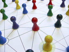 九游娱乐-中国篮球青训教练员能力提升路径，篮球青训师的待遇怎么样